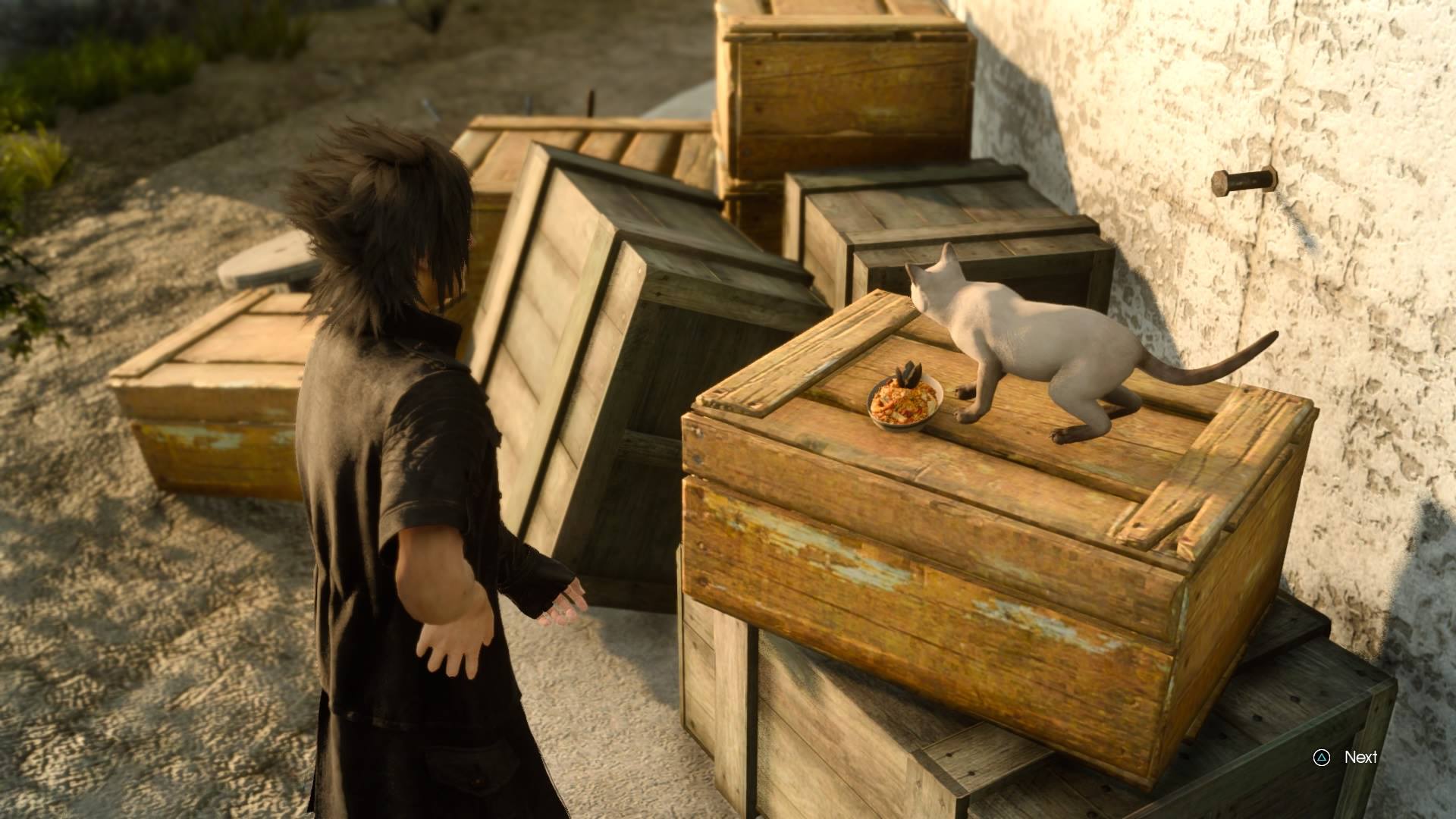 FFXV Cat