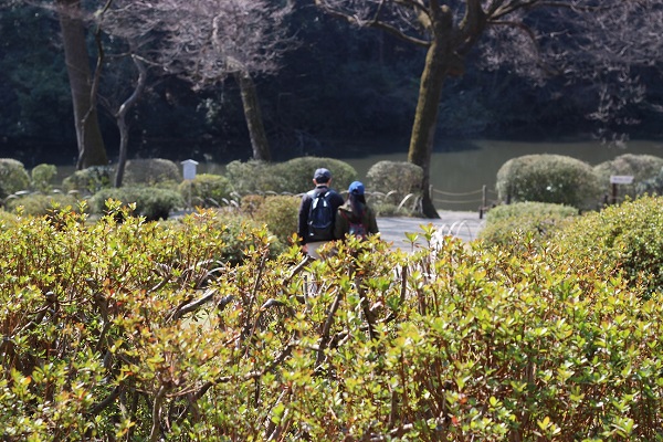 Judy and Eric at the gardens